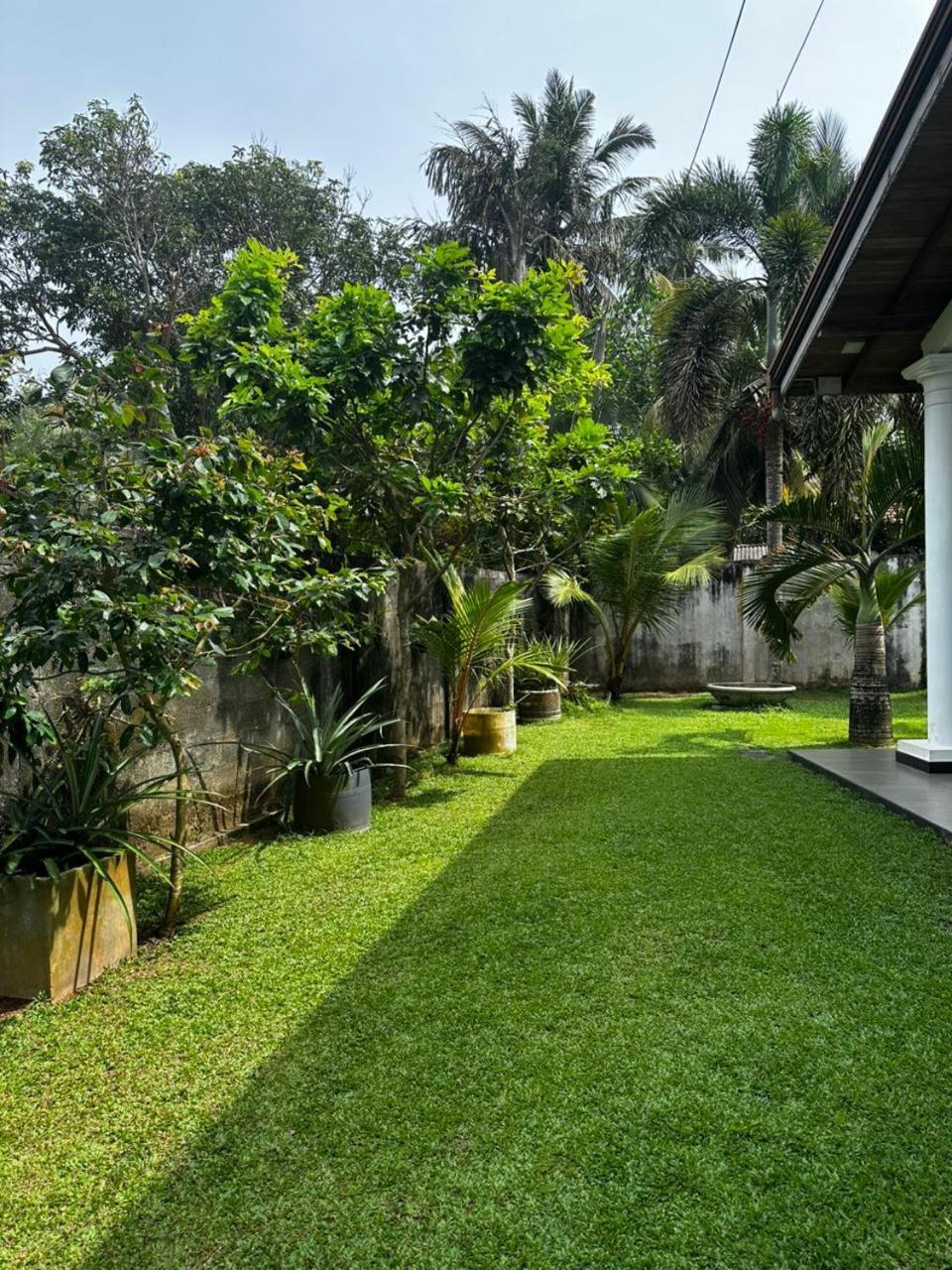 Curve Hiri Apartment Dikwella Exterior foto